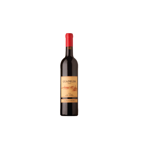 Bouteille de VIN ALFROCHEIRO GUADELIM ROUGE 2014