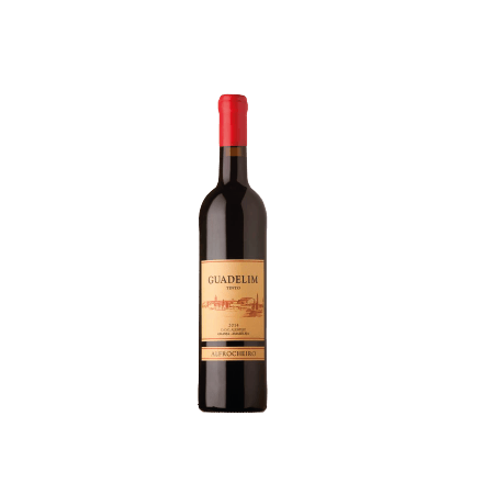 Botella de VIN ALFROCHEIRO GUADELIM ROUGE 2014 Botella de VIN ALFROCHEIRO GUADELIM ROUGE 2014