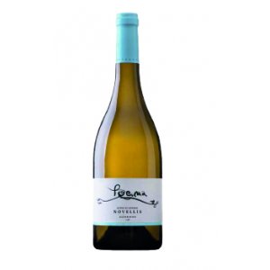 Bouteille de VIN POEMA NOVELLIS BLANC 2018