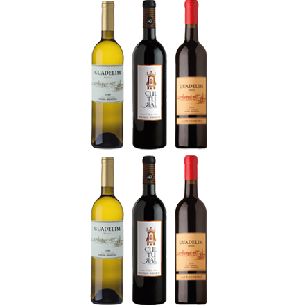 Bouteille de ALENTEJO SUPÉRIEUR Bouteille de ALENTEJO SUPÉRIEUR