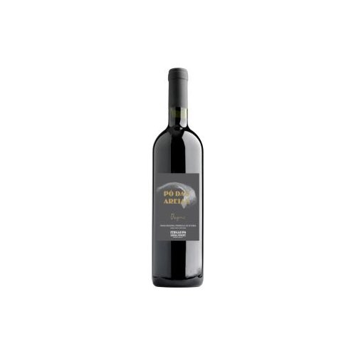 WINE JOÃO PALHOÇA ORIGENS RED 2023
