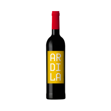 ARDILA 2024