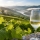 Vinho Verde: el vino portugués fresco y burbujeante que debes probar