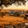 Alentejo Wines: The Portuguese Wine Region Captivating the World